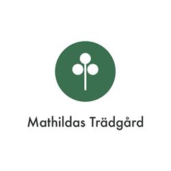 Mathildas Trädgård AB