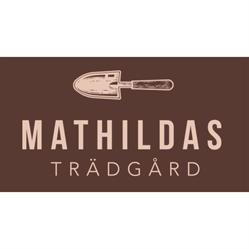 Mathildas Trädgårdsdesign & Skötsel