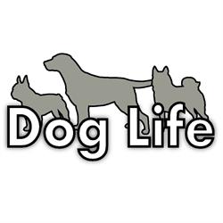 Dog Life Hundcenter