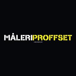 Måleriproffset i Mälardalen