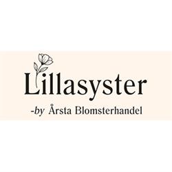 Lillasyster Blommor