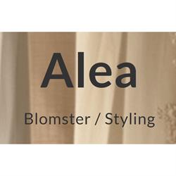 Alea Styling