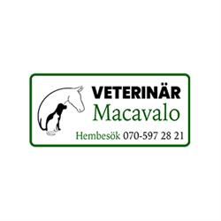 Macavalo veterinär för häst, hund och katt