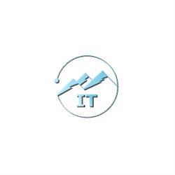 Bergs IT-service