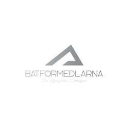 Båtförmedlarna i Valdemarsvik AB