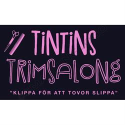 Tintins Trimsalong
