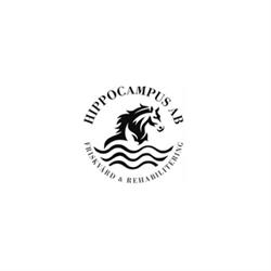 Hippocampus AB