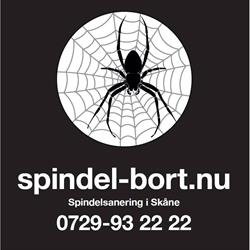 Spindel Bort Nu - Spindelsanering