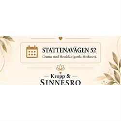 Kropp & Sinnesro, Hässlemassören