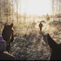 Recensioner